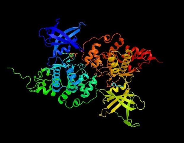 An Overview of Enzymology