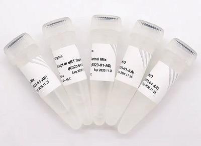 New generation of reverse transcriptase - HiScript III RT SuperMix for qPCR (R323)