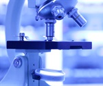Mutated gene protects the kidney from hypertension-induced damage